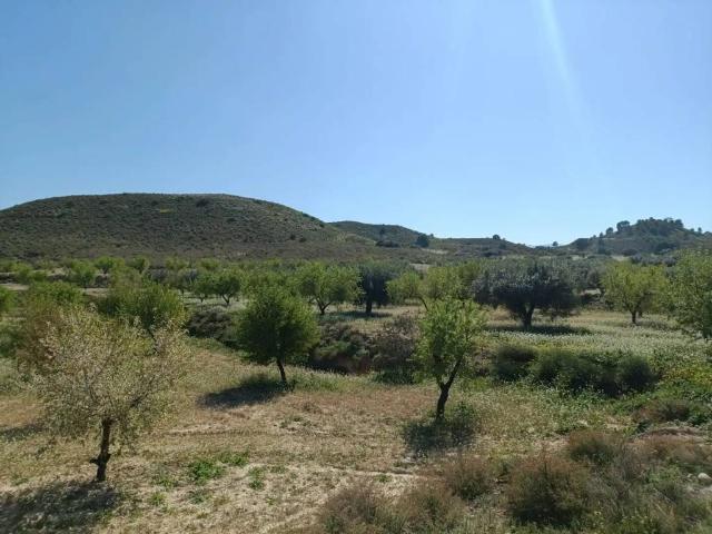 Terreno en Venta en Murcia