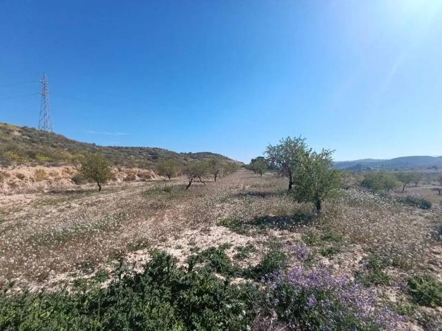 Terreno en Venta en Murcia