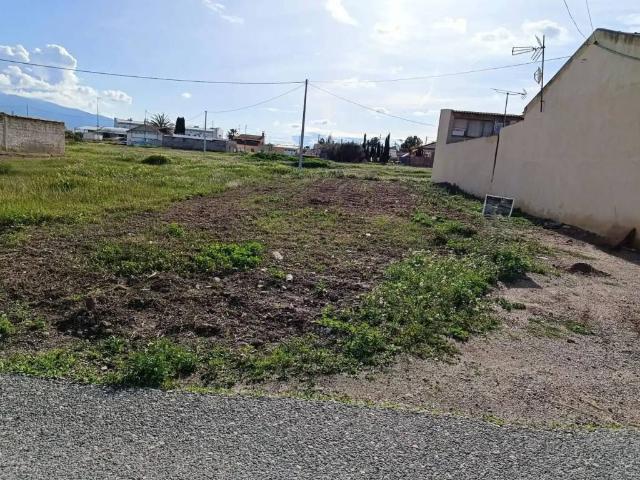 Terreno en Venta en Murcia