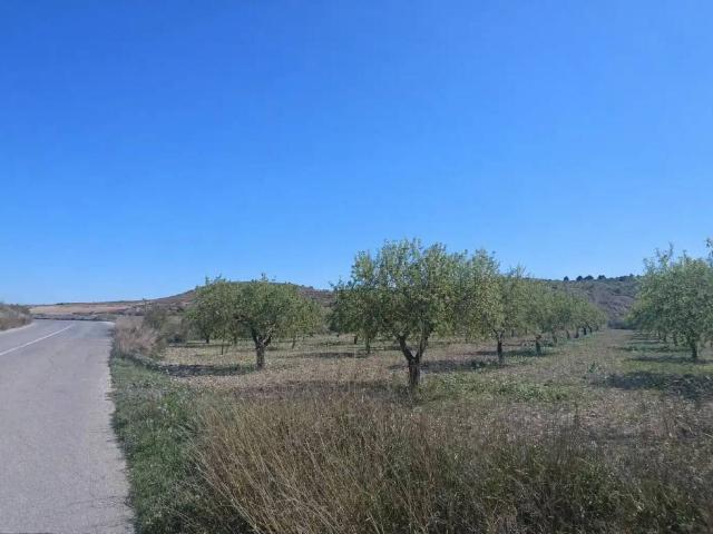 Terreno en Venta en Murcia