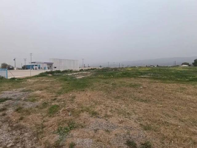 Terreno en Venta en Murcia