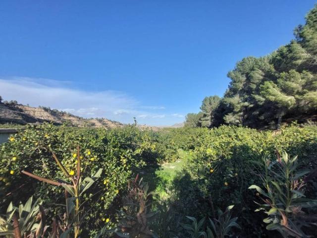 Terreno en Venta en Murcia