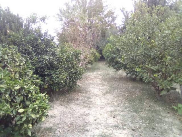 Terreno en Venta en Murcia