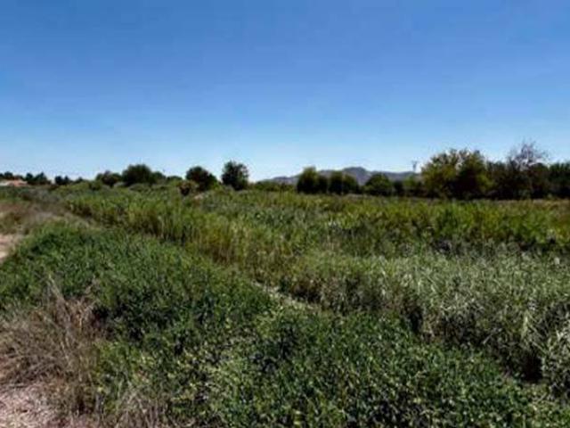 Terreno en Venta en Murcia