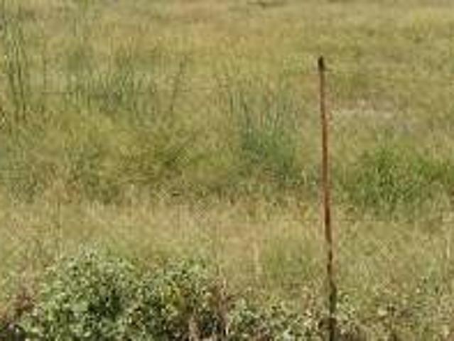 Terreno en Venta en Murcia