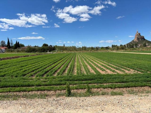 Terreno en Venta en Murcia