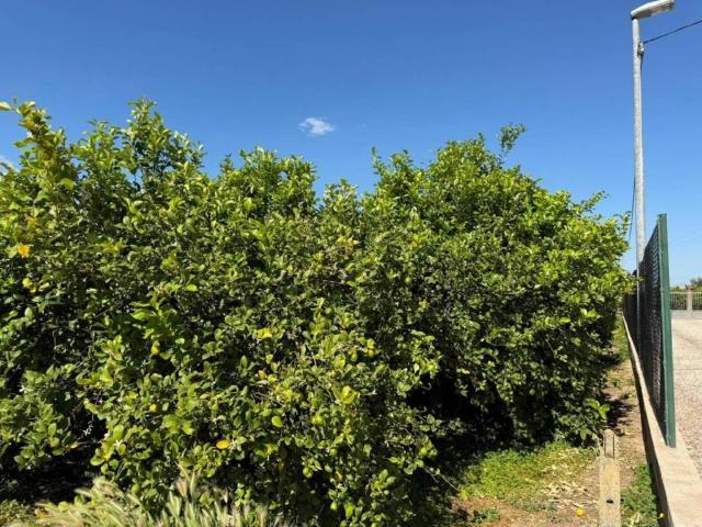 Terreno en Venta en Murcia