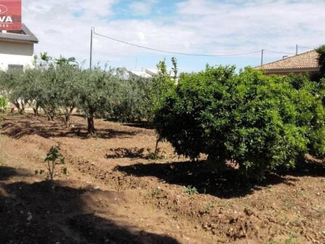 Terreno en Venta en Murcia