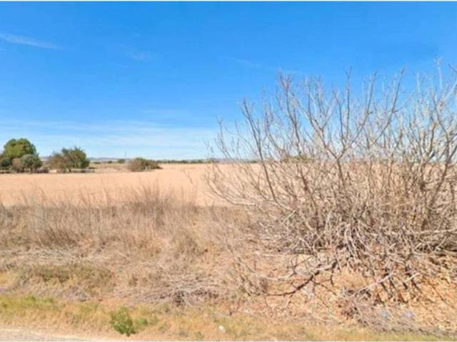 Terreno en Venta en Murcia