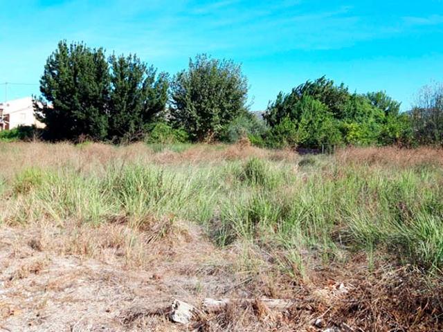 Terreno en venta en Murcia