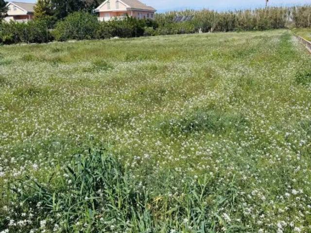 Terreno en Venta en Murcia