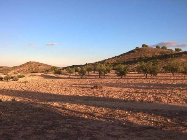 Terreno en Venta en Murcia