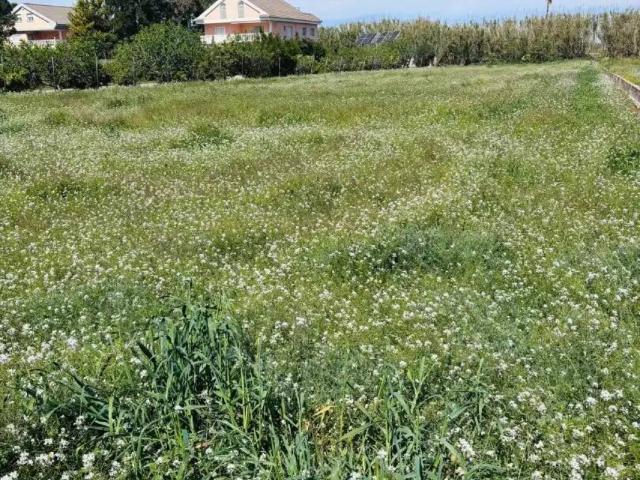 Terreno en Venta en Murcia