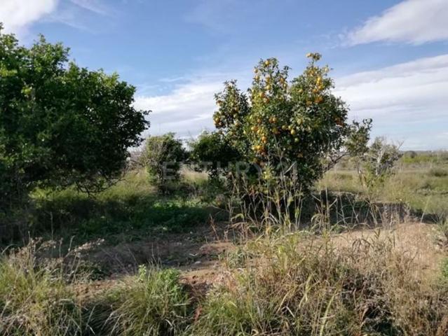 Terreno en venta en Murcia, Pedanías Oeste
