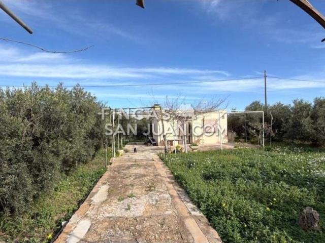 Terreno en Venta en Mutxamel