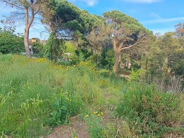 Terreno en Venta en Maçanet de La Selva
