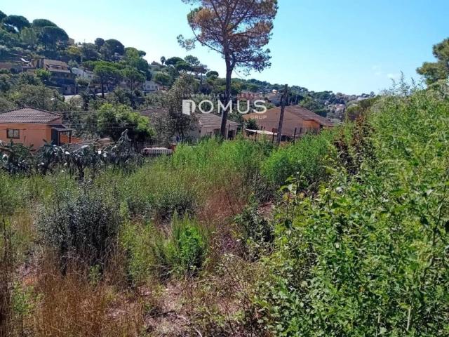 Terreno en Venta en Maçanet de La Selva