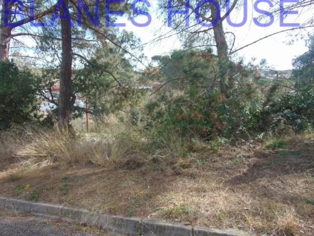 Terreno en Venta en Maçanet de La Selva