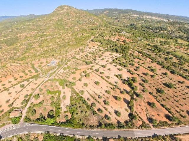 Terreno en Venta en Macastre