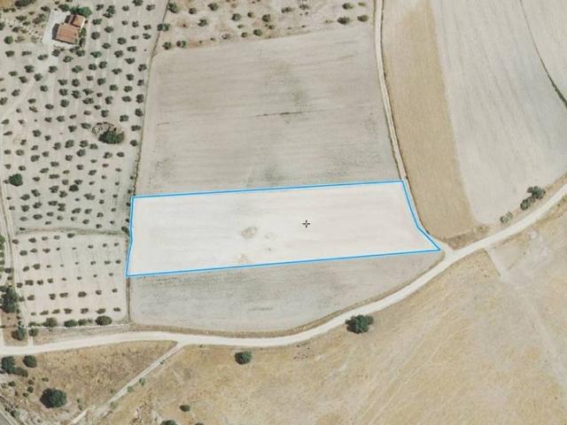 Terreno en Venta en Magacela