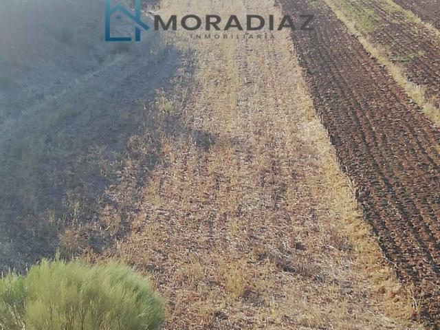 Terreno en Venta en Magacela