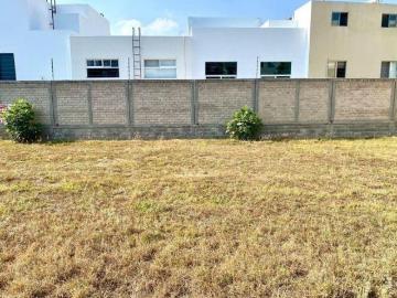 Terreno en Venta en MADEIRAS, Capital Norte