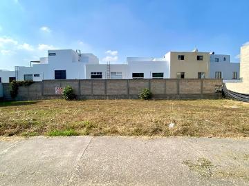 Terreno en Venta en Madeiras Capital Norte