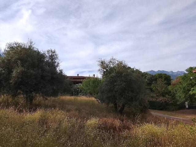 Terreno en Venta en Madrigal de la Vera