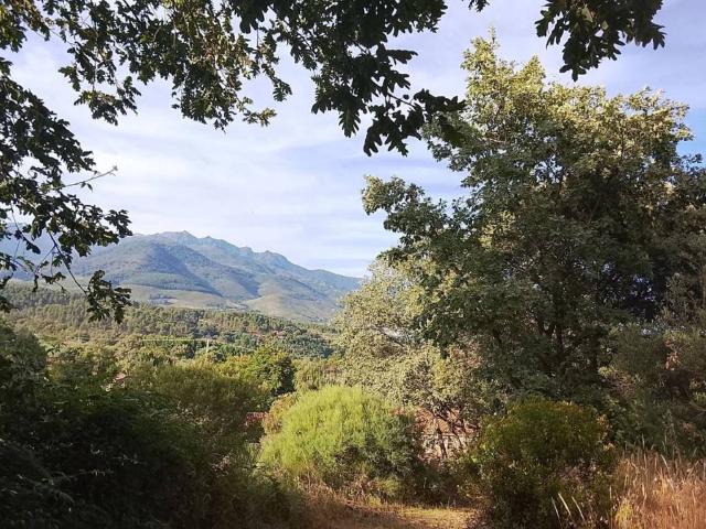 Terreno en Venta en Madrigal de la Vera