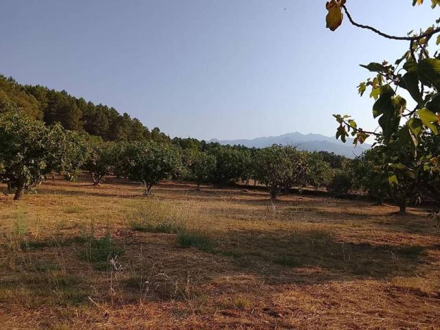Terreno en Venta en Madrigal de la Vera