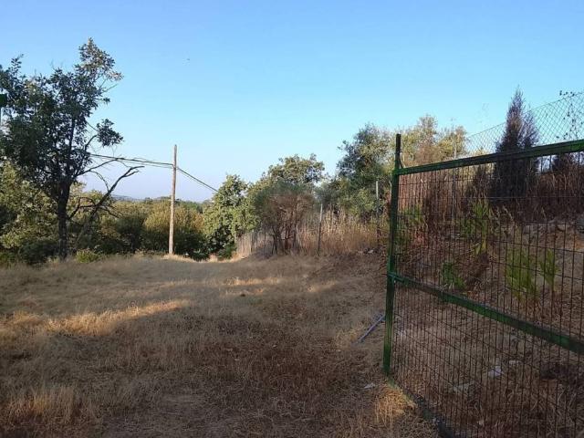 Terreno en Venta en Madrigal de la Vera