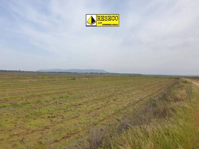 Terreno en Venta en Madrigalejo