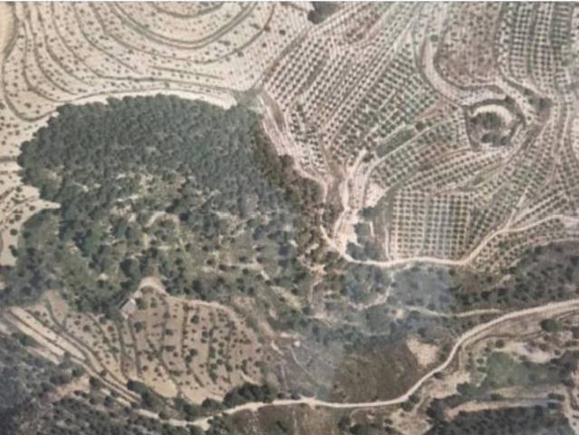 Terreno en Venta en Relleu