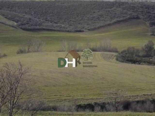 Terreno en Venta en Madrid