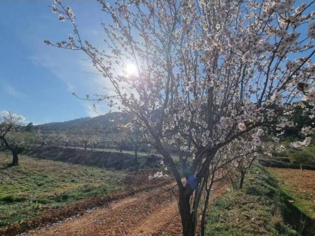 Terreno en Venta en Madrid