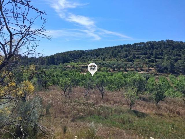 Terreno en Venta en Madrid
