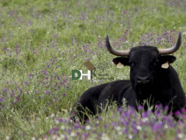 Terreno en Venta en Madrid