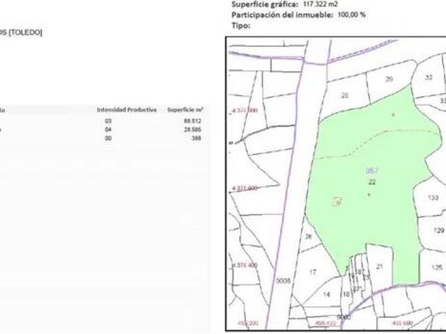 Terreno en Venta en Madridejos