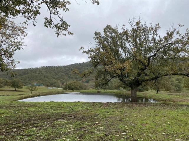Terreno en Venta en Madroñera