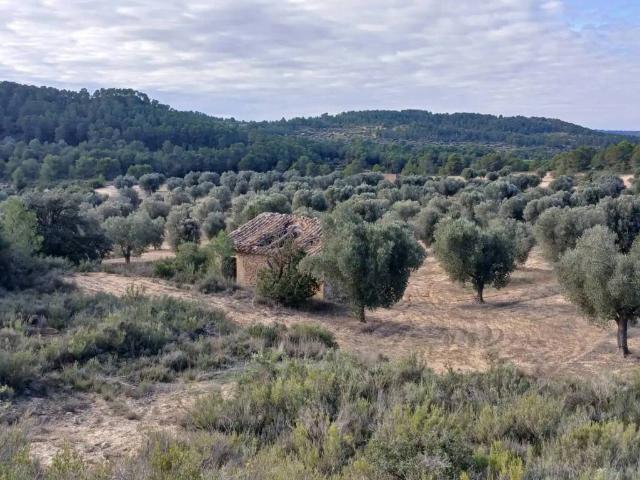 Terreno en Venta en Maella