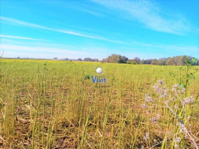 Terreno en Venta en Mairena del Alcor