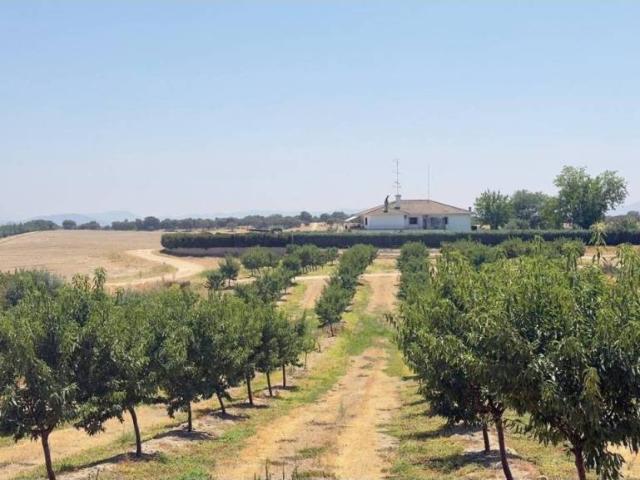 Terreno en Venta en Majadas