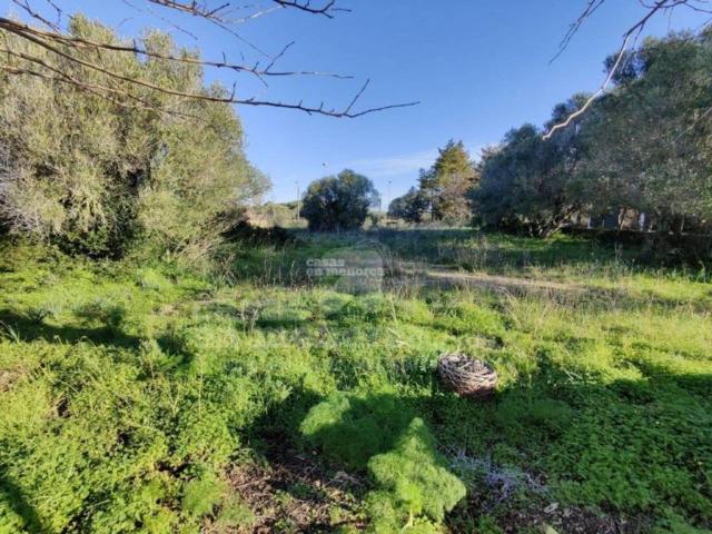 Terreno en Venta en Maó Mahón