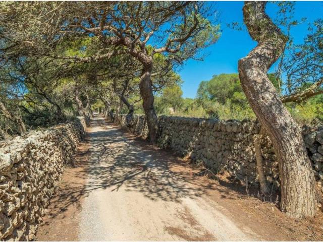Terreno en Venta en Maó Mahón