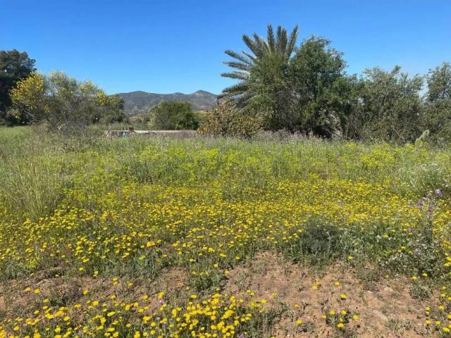 Terreno en Venta en Málaga