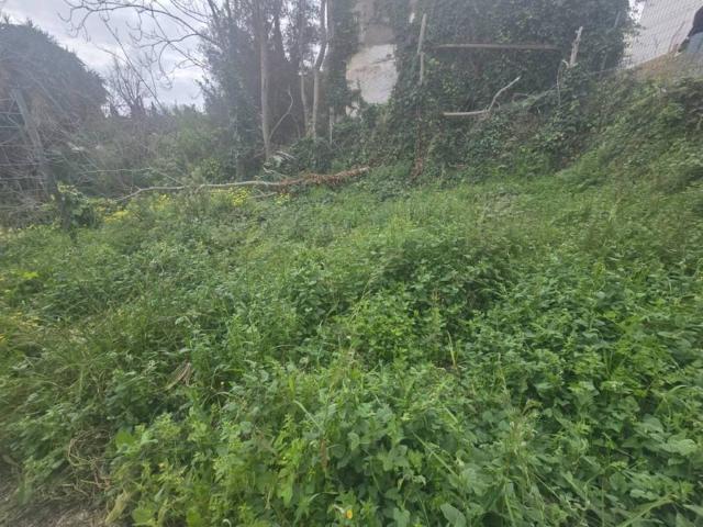 Terreno en Venta en Málaga