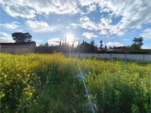 Terreno en Venta en Málaga