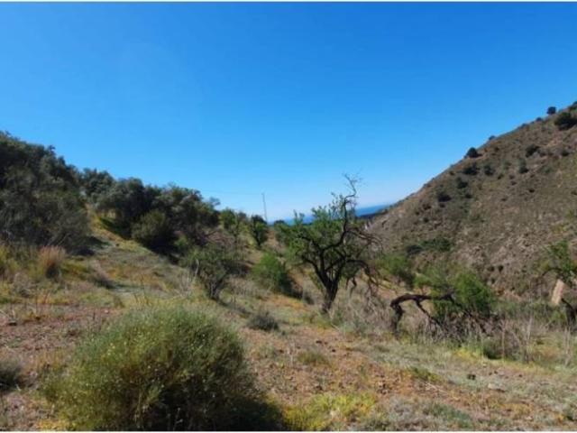 Terreno en Venta en Málaga