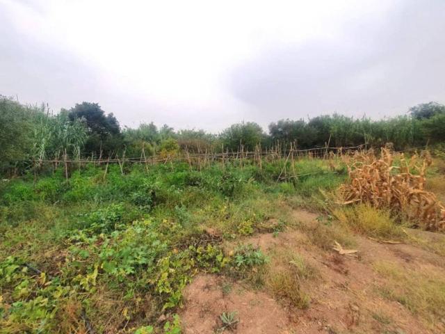 Terreno en Venta en Málaga