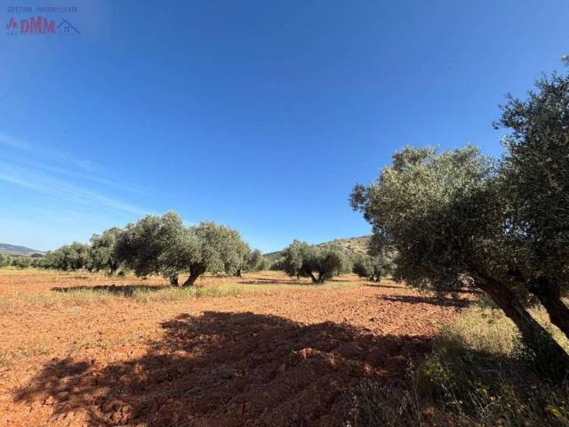 Terreno en Venta en Malagón